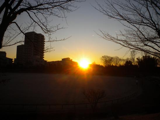 隣の公園での朝日.JPG