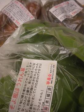 無農薬野菜.jpg