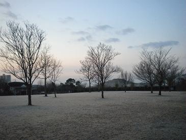 霜のかかった公園２.JPG