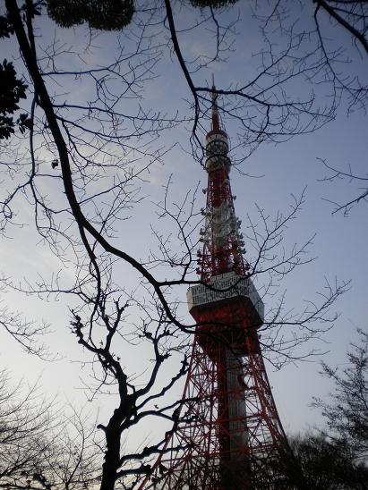 増上寺脇からの東京タワー.jpg