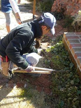 2010,1,24 どこまで刈り込む？.jpg