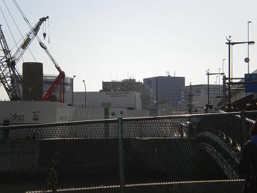 2010,1,10 キャッツシアターが見えてきた！.jpg