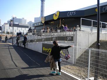 2010,1,10 キャッツシアター到着！.jpg