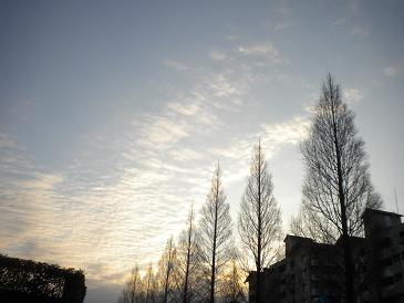 １／９朝の風景２.JPG
