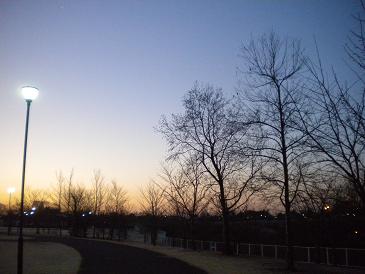 お散歩コースin the park.jpg