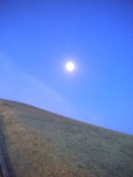 今朝のお月様.jpg