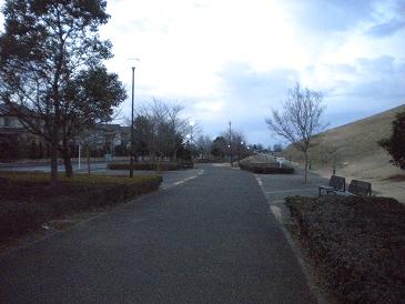 寒々とした公園.JPG