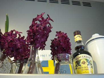 ヒヤシンスの切り花.jpg