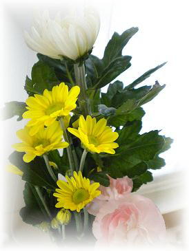 2009,8,13 お盆花.jpg