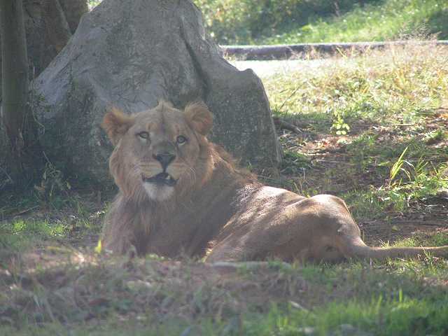 なんだと（怒）