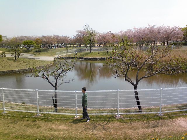 白公園ぽっくんひとり.jpg