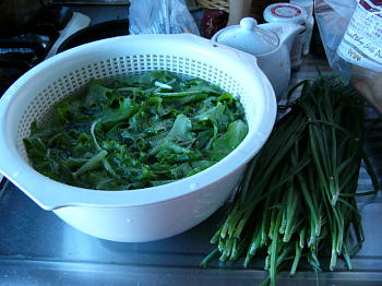 P1050220.jpg