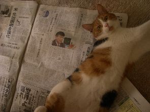 ちゃんと話聞いてる？
