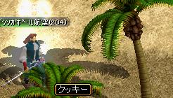 20070220 くっき１.JPG