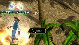 20070220 くっき２.JPG