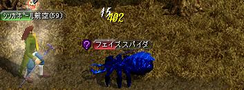 20060803 ヘムクロス・蜘蛛.JPG