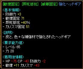 20060115 アイテム詳細.JPG