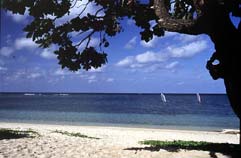 ～PARADISE  OF JUNK～