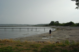 海岸で