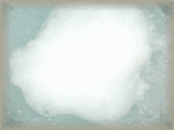 20090301 042-2.gif