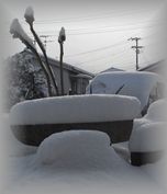 20110112　雪2