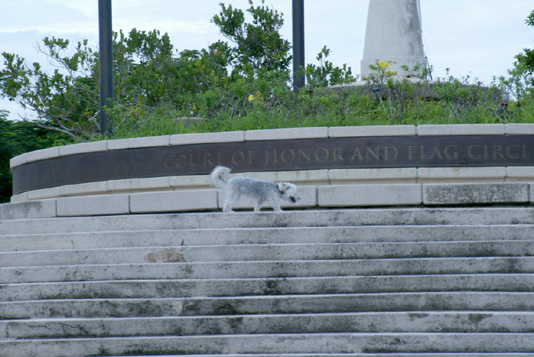 2008_10_SAIPAN 149.jpg