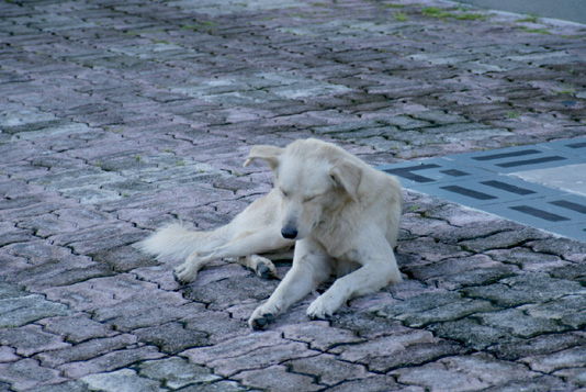 2008_10_SAIPAN 163.jpg