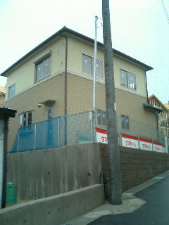 後ろもどうよ？