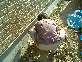 シュミット測定中