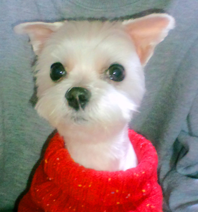 2009.12.29 haruna.jpg