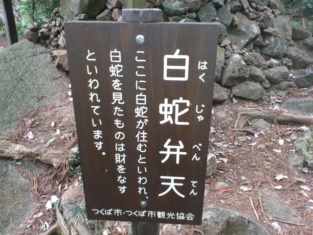 白蛇弁天.jpg
