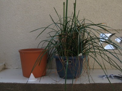 20100324b