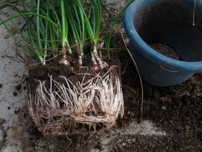 20100324c