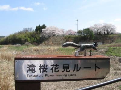滝桜20090418b