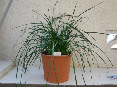 20100324e