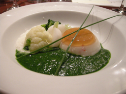 081115パンナコッタ