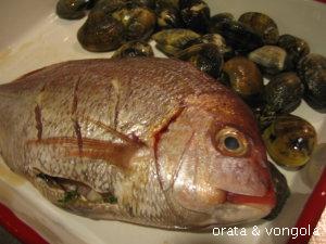 orata&vongola