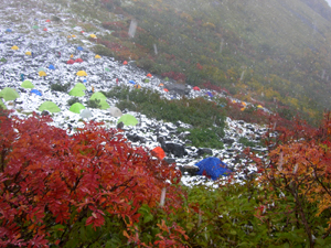 紅葉＆雪.jpg