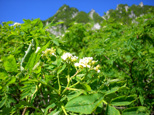 遠くに見える山脈