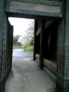江戸城の門と桜