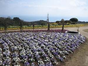 淡路島７