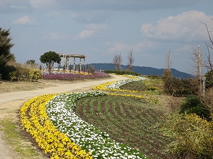 淡路島８