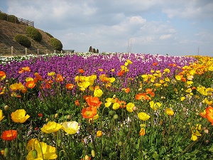 淡路島１２