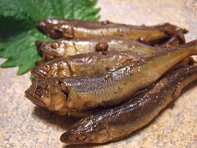 080605稚鮎の佃煮1.jpg