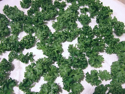 0910716ドライパセリ.jpg