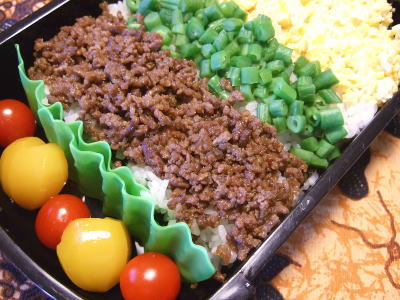 090911そぼろ弁当.jpg