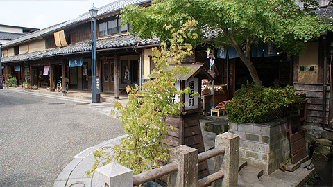 豆田の風景…素晴らしい…。