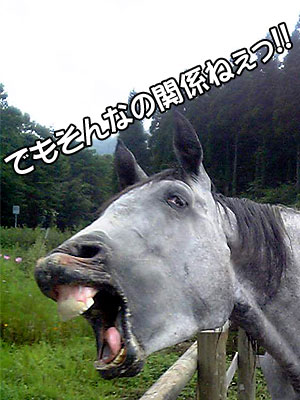 でもそんなの関係ねぇっ！