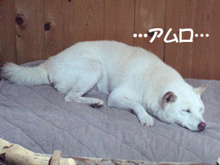 若さゆえの過ちというものを…