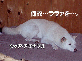 ララァゎ私のぉ…。